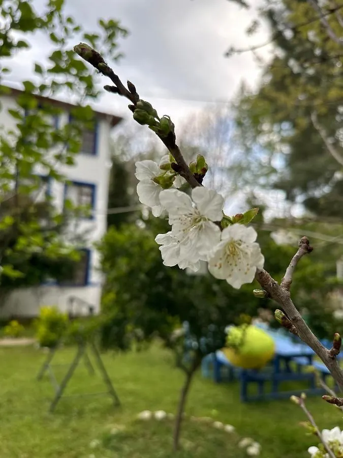 Hotel Sakliderebutikotel Edremit